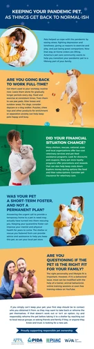 Dog and cat with veterinarian showing pet insurance coverage documents